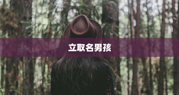 立取名男孩