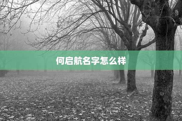 何启航名字怎么样