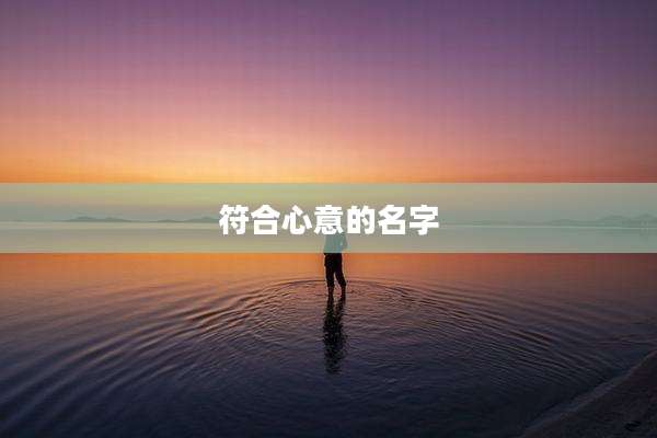 符合心意的名字