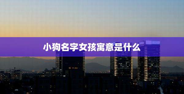 小狗名字女孩寓意是什么