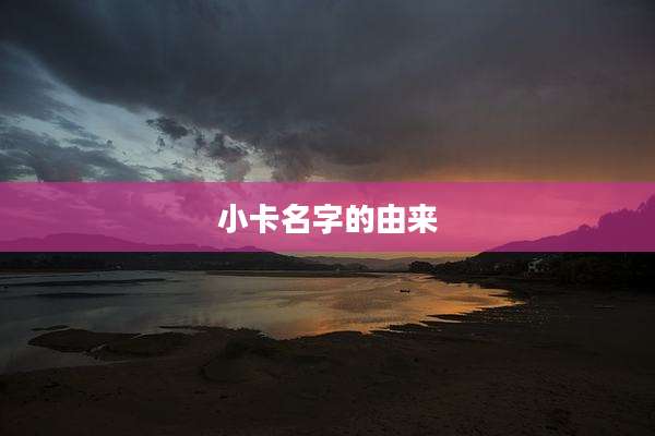 小卡名字的由来