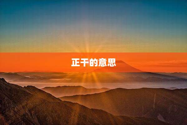 正干的意思