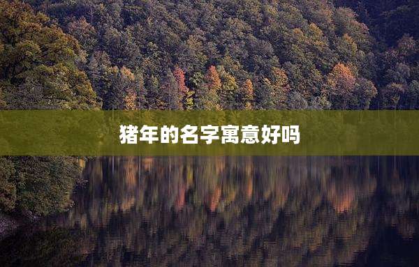 猪年的名字寓意好吗