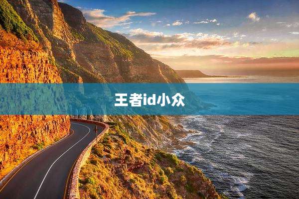 王者id小众