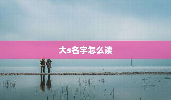 大s名字怎么读