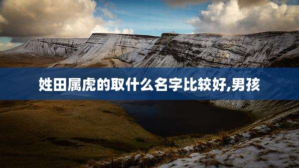 姓田属虎的取什么名字比较好,男孩