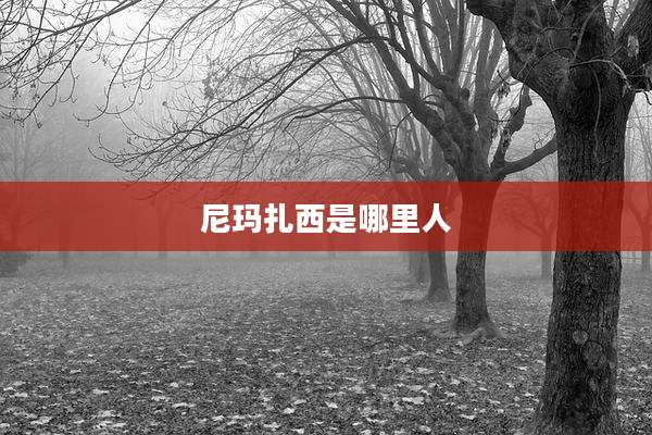 尼玛扎西是哪里人