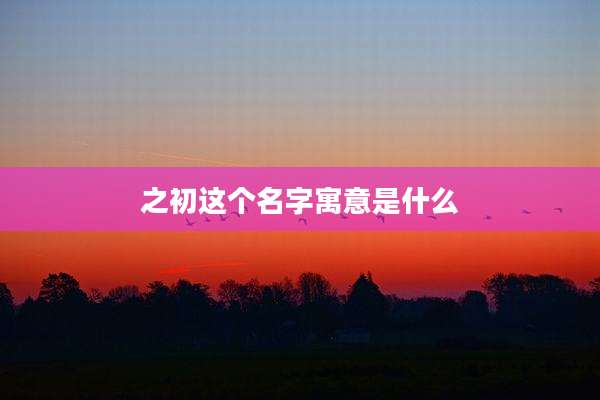 之初这个名字寓意是什么