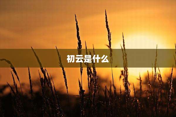 初云是什么