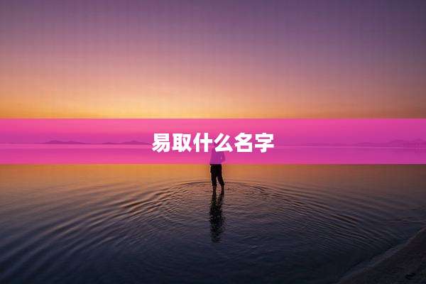 易取什么名字
