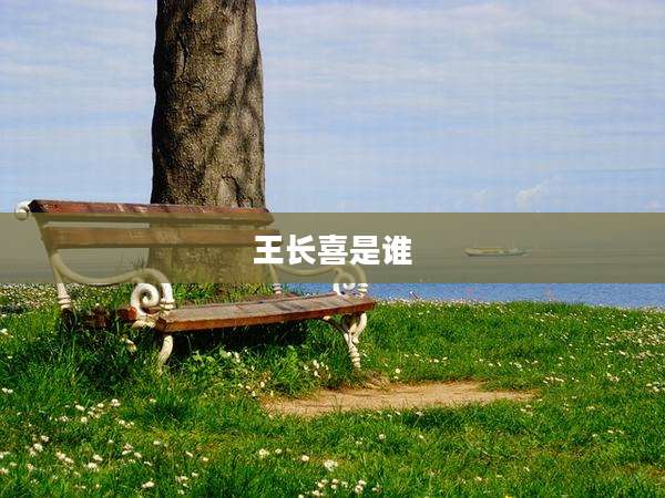 王长喜是谁