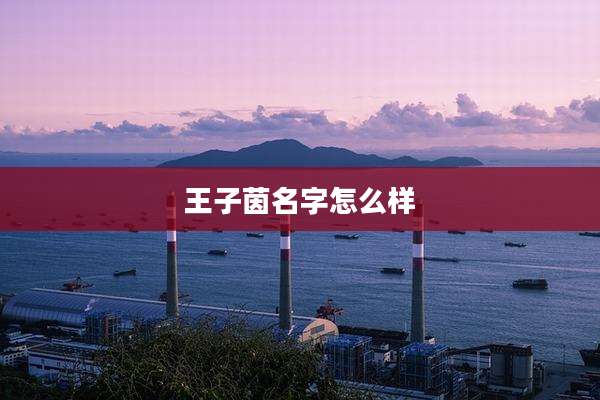 王子茵名字怎么样