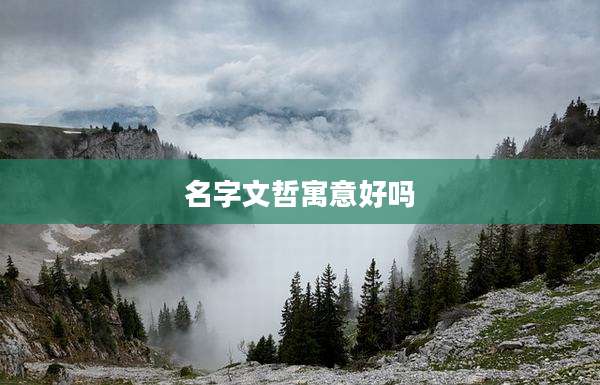 名字文哲寓意好吗