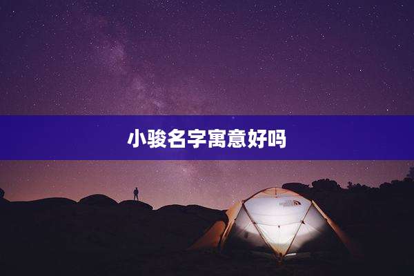 小骏名字寓意好吗