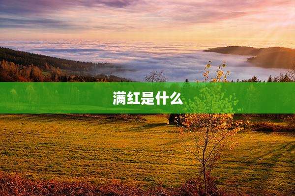 满红是什么