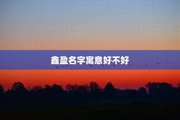 鑫盈名字寓意好不好