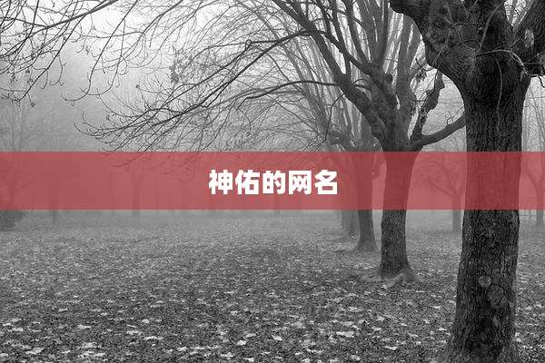 神佑的网名