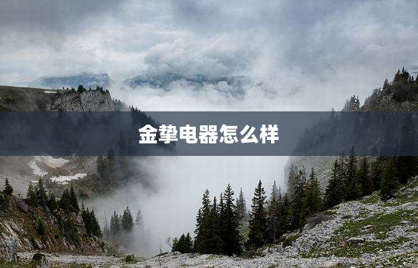 金挚电器怎么样