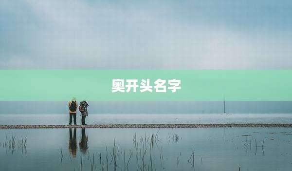 奥开头名字