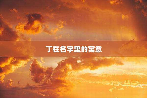 丁在名字里的寓意