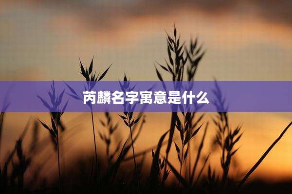 芮麟名字寓意是什么