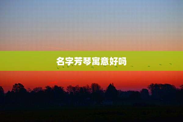 名字芳琴寓意好吗