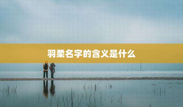 羽柔名字的含义是什么