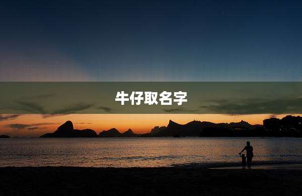 牛仔取名字