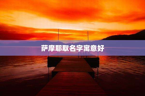 萨摩耶取名字寓意好