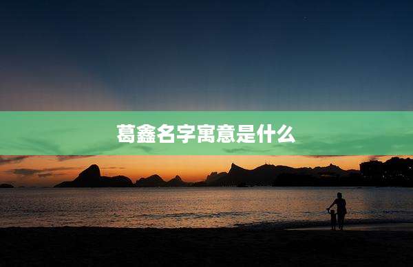 葛鑫名字寓意是什么