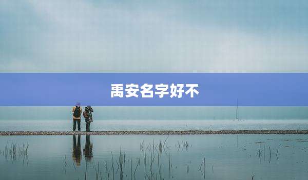 禹安名字好不