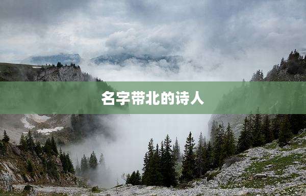 名字带北的诗人