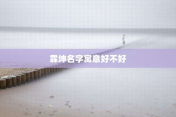 霖坤名字寓意好不好
