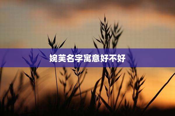 婉芙名字寓意好不好