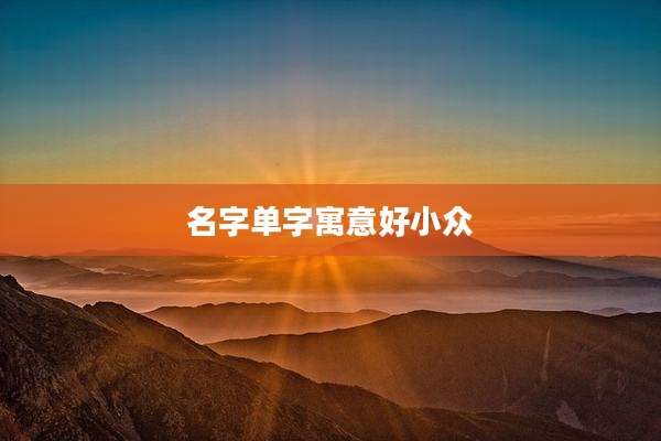 名字单字寓意好小众