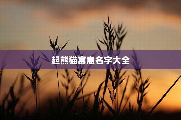 起熊猫寓意名字大全