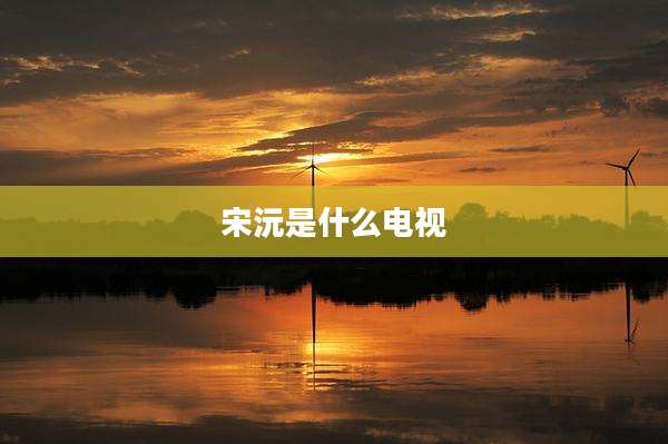 宋沅是什么电视