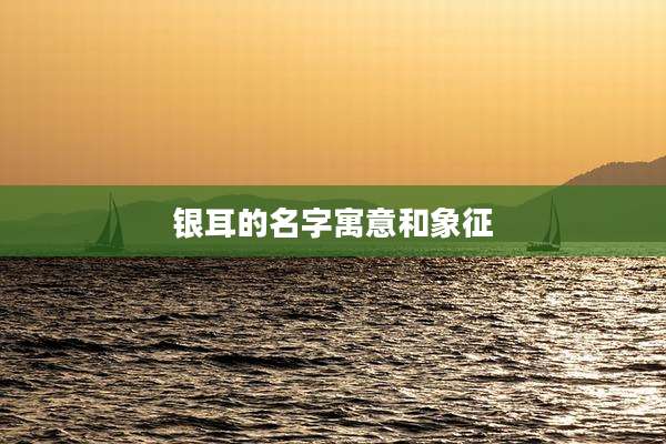 银耳的名字寓意和象征