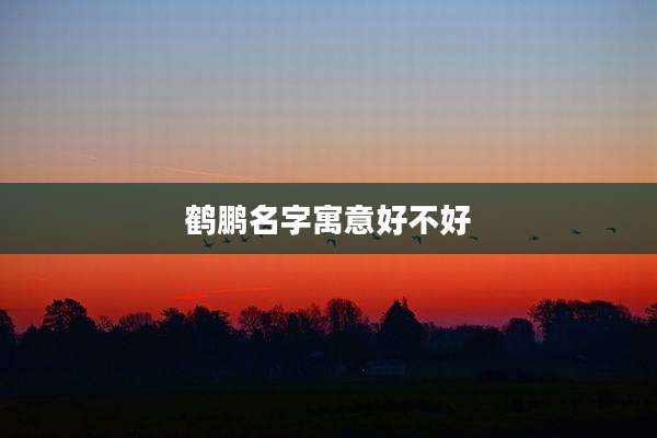 鹤鹏名字寓意好不好