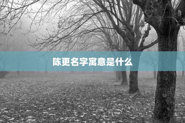 陈更名字寓意是什么