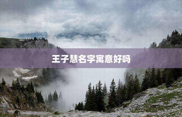 王子慧名字寓意好吗