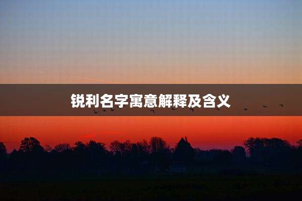 锐利名字寓意解释及含义