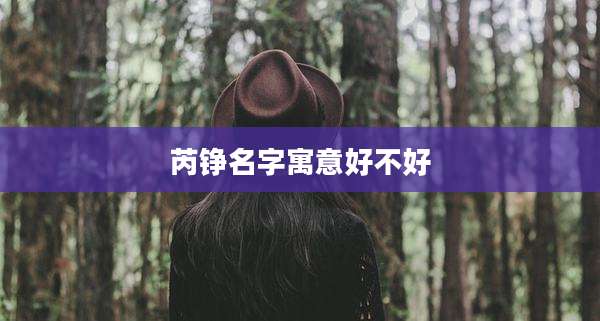 芮铮名字寓意好不好