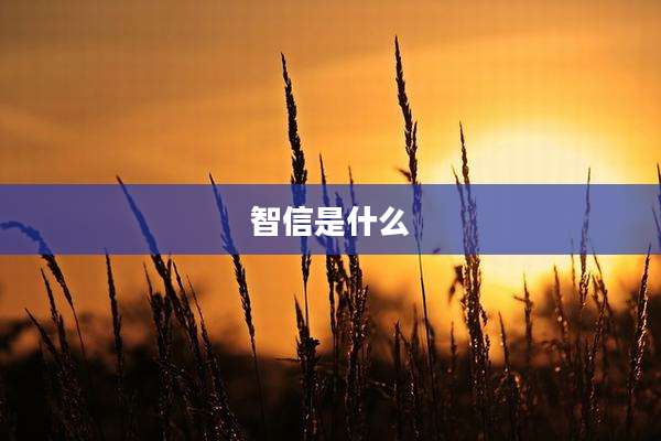 智信是什么