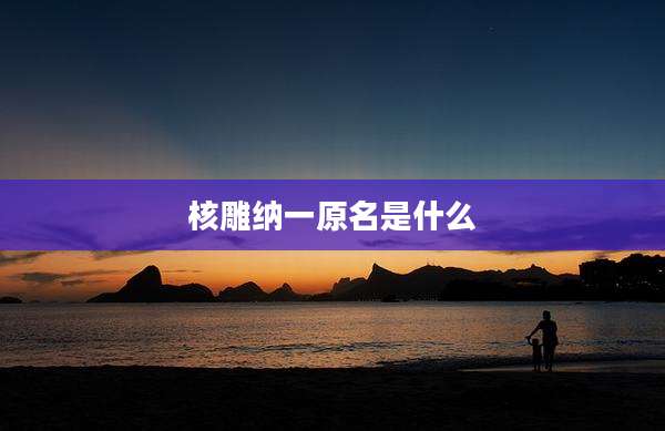 核雕纳一原名是什么