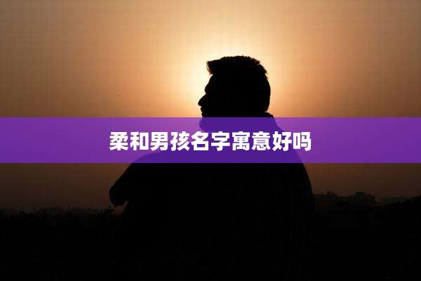 柔和男孩名字寓意好吗