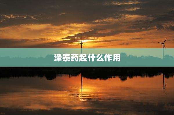 泽泰药起什么作用