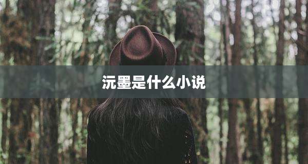 沅墨是什么小说