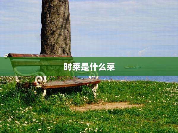 时莱是什么菜