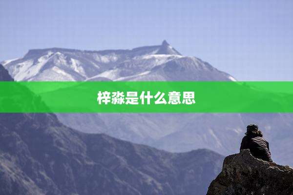 梓淼是什么意思